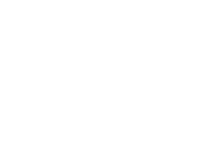 CPA2Biz